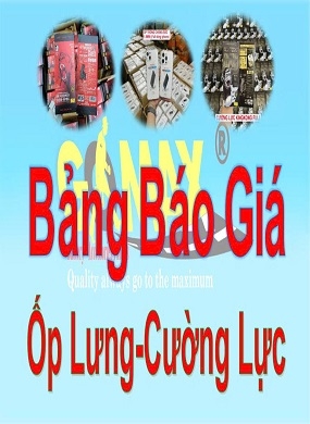 ỐP LƯNG - CƯỜNG LỰC CÁC LOẠI
