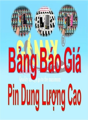 PIN DUNG LƯỢNG CAO PGAR 